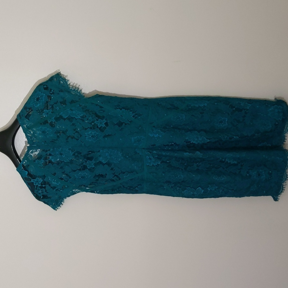Monique L'Huillier| Green Lace Dress over Strapless Bustier Slip Back Zippered - Picture 6 of 16